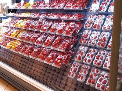 點擊查看詳細信息<br>標題：果蔬架-72 塑料模塊 閱讀次數：2581